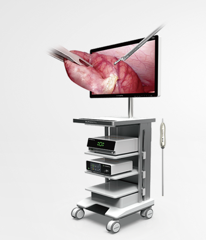 X-Ray